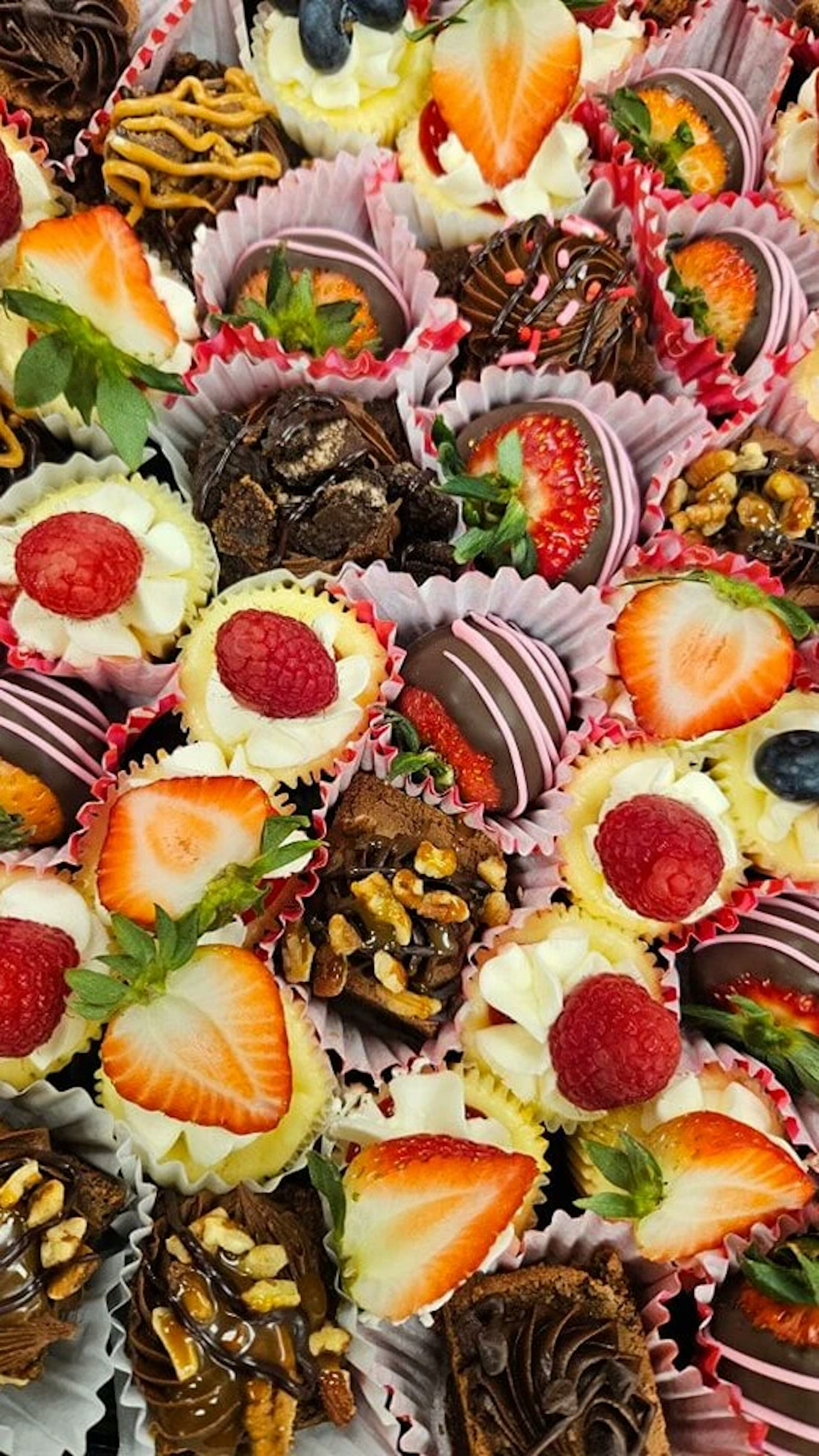 An assortment of chocolate strawberries and other small pastries.